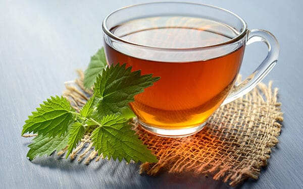 4 Jenis Teh yang Bisa Bikin Kulit Tampak Lebih Muda 1 4 Jenis Teh yang Bisa Bikin Kulit Tampak Lebih Muda