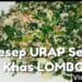 Resep Serbuk / Urap Khas Lombok