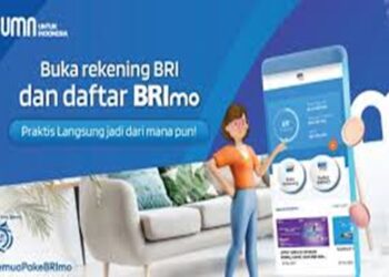 cara-daftar-brimo-jika-sudah-punya-rekening
