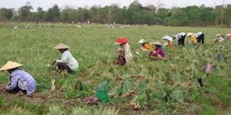 Pekerjaan di Dataran Rendah