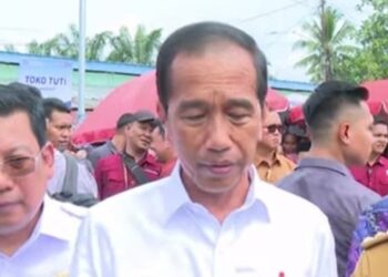 Jokowi Buka Suara soal Kasus Pembunuhan Vina