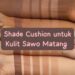 Cara Memilih Shade Cushion Skintific Untuk Kulit Sawo Matang 8 Cara Memilih Shade Cushion Skintific Untuk Kulit Sawo Matang