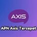 APN Axis Tercepat 2024