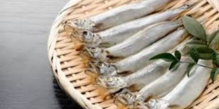 manfaat-ikan-shisamo