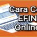 Cara Cek EFIN Online 8 Download Cheat Free Fire Terbaru dan Cara Menggunakannya