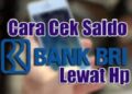 Cara Cek Saldo BRI Lewat SMS Mudah