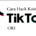 Cara Hack Koin TikTok ORI 8 Cara Membuat Video Animasi Untuk Pemula