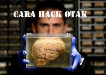 Cara Mengarsipkan Reels di Instagram