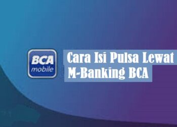 Download FM WhatsApp Apk 2026 untuk Android Gratis