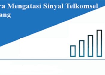 Cara Agar Status WA Tidak Bisa di Download