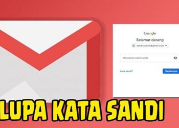 Rekomendasi 5 Aplikasi Taruhan Uang Paling Populer