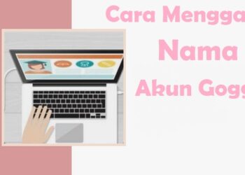 Download Whaff Rewards Apk untuk Android Gratis