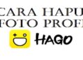 Cara Menghapus Foto Profil Hago Mudah 2 Moviegan