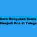 Ini Cara Menggunakan Bot Nulis Telegram Mudah