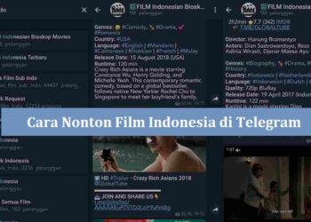 2 Cara Cek Spesifikasi HP VIVO, Mudah dan Cepat