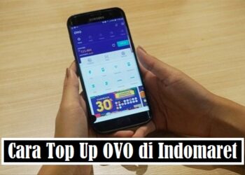 Cara Menulis Daftar Pustaka Dari Buku dan Contohnya