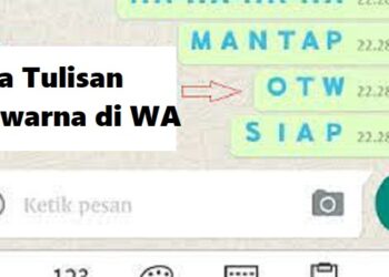 Cara Agar Status WA Tidak Bisa di Download