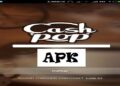 Download CashPop APK 2 Cara Melihat Live IG Random Mudah