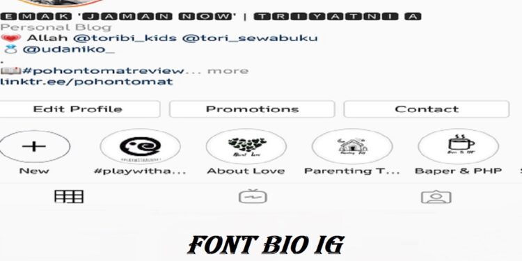 Private Instagram Viewer Tanpa Verifikasi