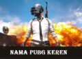 50+ Nama PUBG Keren yang Belum Dipakai 3 4 FB Story Downloader Gratis