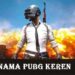 50+ Nama PUBG Keren yang Belum Dipakai 8 4 FB Story Downloader Gratis