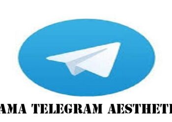 4 FB Story Downloader Gratis