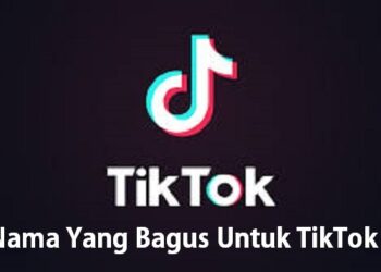 Download Whaff Rewards Apk untuk Android Gratis