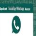 2 Cara Sadap WhatsApp Suami yang Sudah Dihapus Mudah