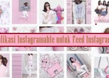 Cara Agar Status WA Tidak Bisa di Download