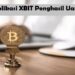 Cara Menggunakan Aplikasi XBIT Penghasil Uang 8 Counter Item Dominance Ice