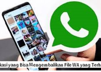 4 Aplikasi yang Bisa Mengembalikan File WA yang Terhapus 7 Cara Hapus Akun DANA di Snack Video