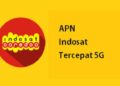 APN Indosat Tercepat 5G 2026 2 Cara Hack Repository dengan Tool Havij