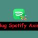 Bug Spotify Axis 2025 8 Private Instagram Viewer Tanpa Verifikasi