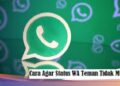 Ini Cara Agar Status WA Teman Tidak Muncul Mudah 12 Download Script Custom Zilong Anime