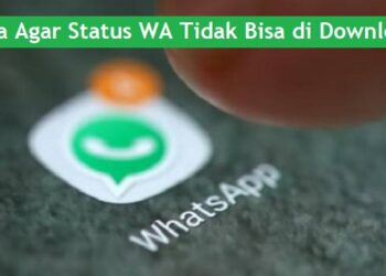 Cara Agar Status WA Tidak Bisa di Download