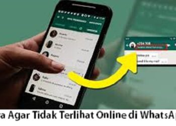 Cara Mendapatkan Listrik PLN Gratis Lewat WhatsApp