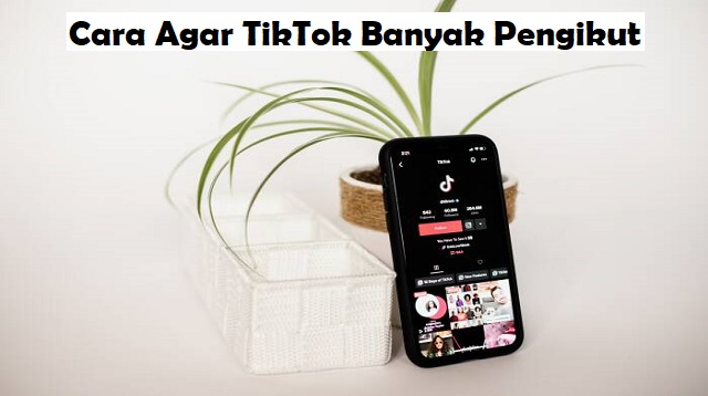 6 Tips Cara Agar TikTok Banyak Pengikut 1 4 Cara Mengetahui RAM HP Android
