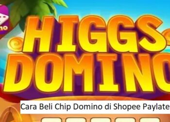 Cara Membuat 2 WA Dalam 1 HP