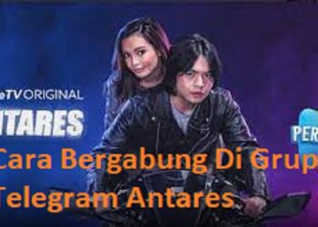 Download FM WhatsApp Apk 2026 untuk Android Gratis