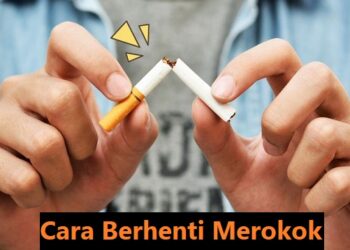 Cara Menulis Daftar Pustaka Dari Buku dan Contohnya