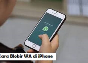 Download FM WhatsApp Apk 2026 untuk Android Gratis