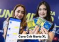 Cara Cek Penerima BLT UMKM Mekaar BNI 1,2 Juta Online Banpresbpum.id