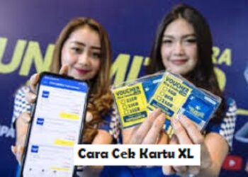 Cara Cek Penerima BLT UMKM Mekaar BNI 1,2 Juta Online Banpresbpum.id