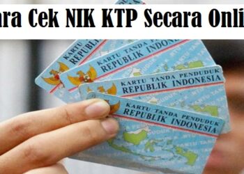 7 Cara Cek NIK KTP Online, Tidak Perlu ke Dukcapil