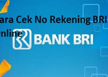 Cara Menggunakan Hoverwatch