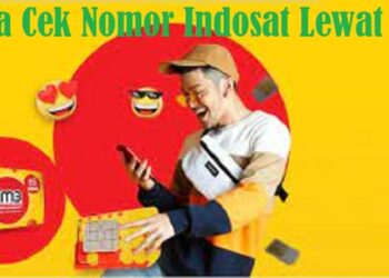 Cara Menyimpan Foto Dari WA ke Galeri Secara Otomatis dan Manual