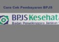 2 Cara Cek Pembayaran BPJS Online Lewat HP 2 4 Game Penghasil Diamond FF