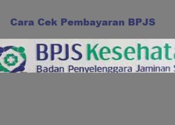 2 Cara Cek Pembayaran BPJS Online Lewat HP 9 4 Game Penghasil Diamond FF