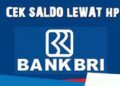 Cara Cek Saldo BRI Lewat SMS Mudah
