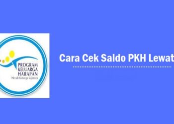 Download Script Custom Zilong Anime